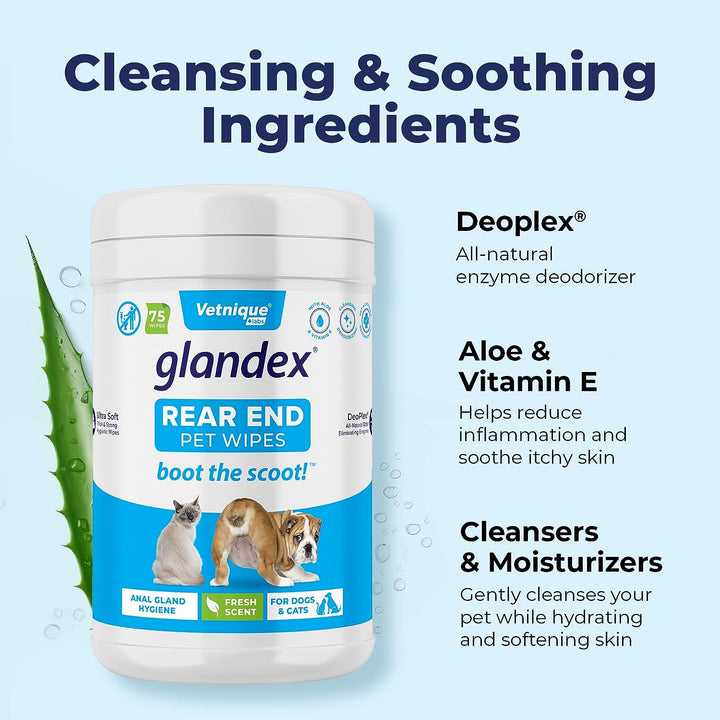 Glandex Dog Wipes for Pets Cleansing & Deodorizing Anal Gland Hygienic Wipe​S for Dogs & Cats with Vitamin E, Skin Conditioners and Aloe (75Ct)